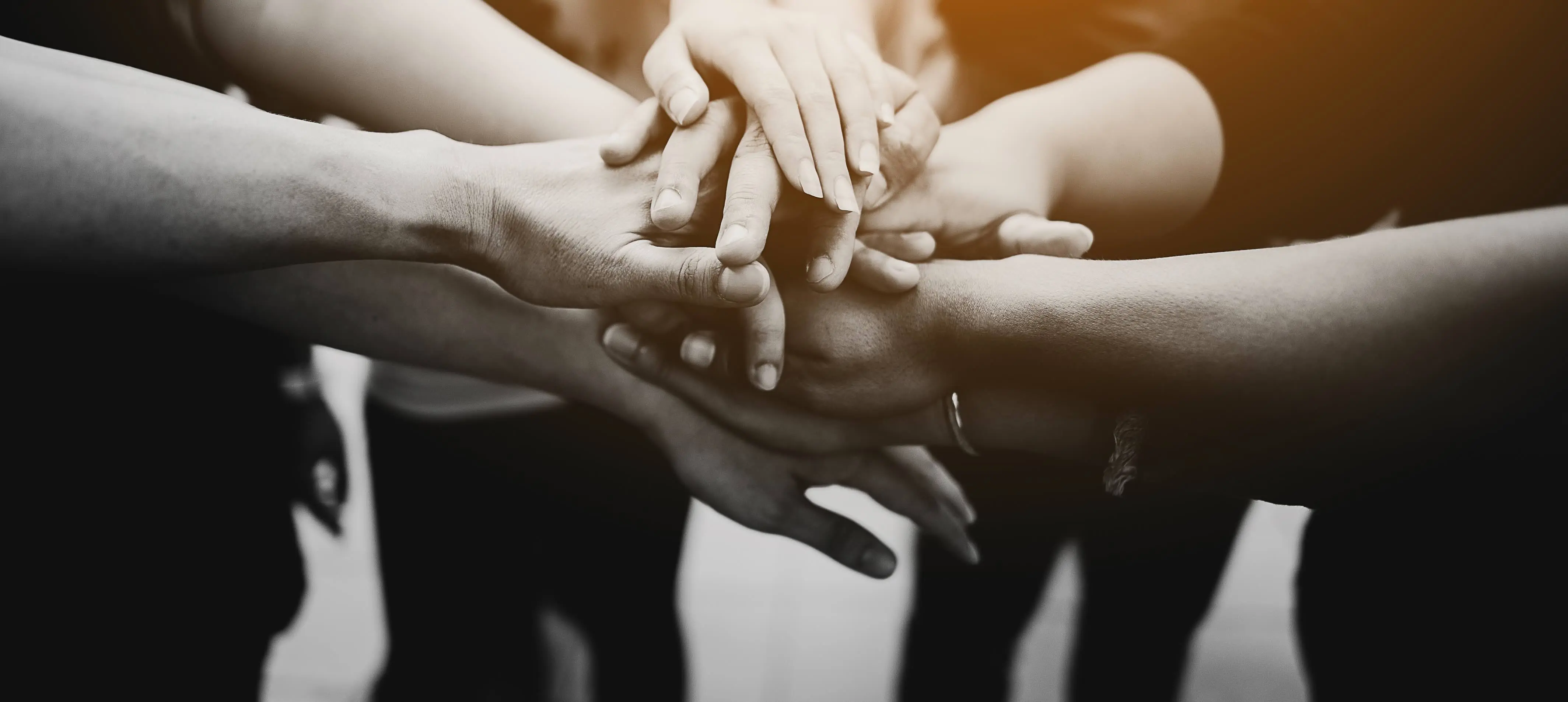 Partnership and trust